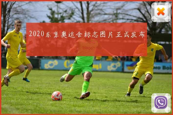2020东京奥运会标志图片正式发布