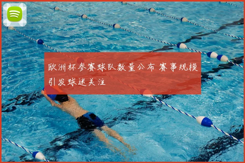 欧洲杯参赛球队数量公布 赛事规模引发球迷关注