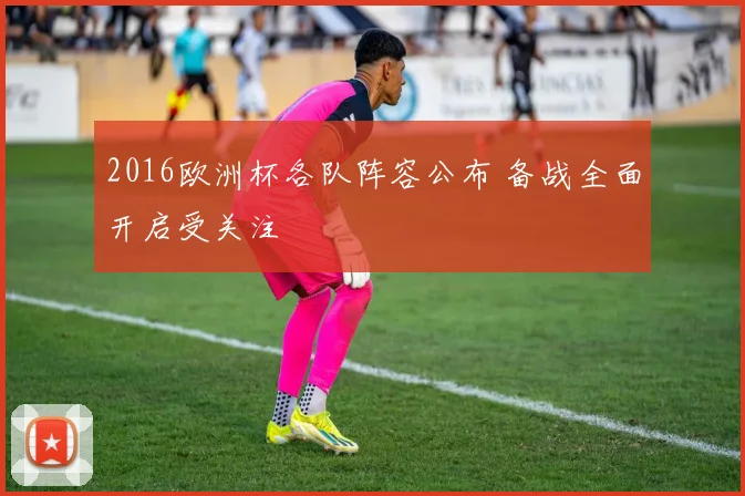 2016欧洲杯各队阵容公布 备战全面开启受关注