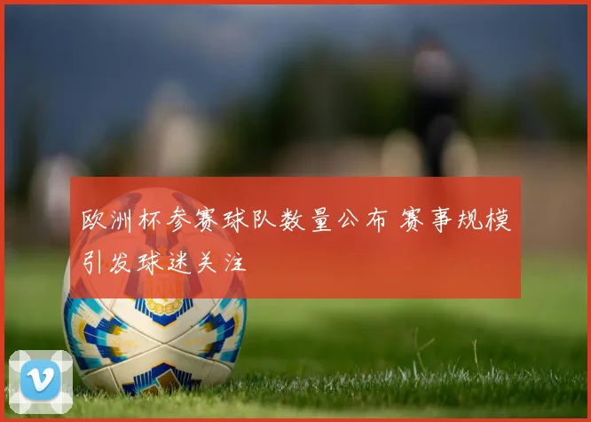 欧洲杯参赛球队数量公布 赛事规模引发球迷关注